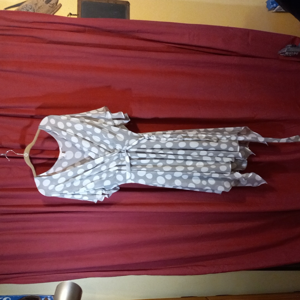 Dress Barn sheer polka dot dress